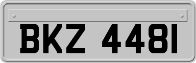 BKZ4481