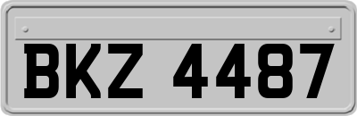 BKZ4487