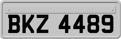 BKZ4489