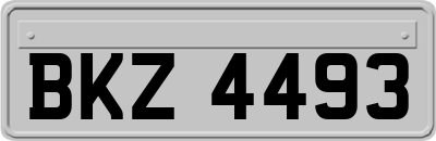 BKZ4493