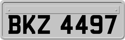 BKZ4497