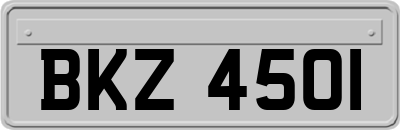 BKZ4501