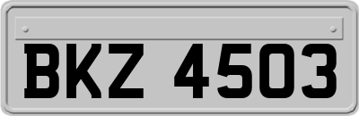 BKZ4503
