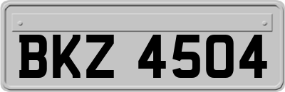 BKZ4504