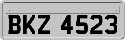 BKZ4523