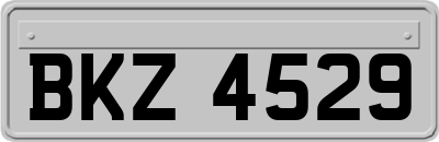 BKZ4529