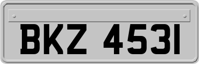 BKZ4531