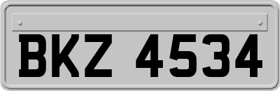 BKZ4534