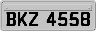 BKZ4558