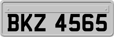 BKZ4565