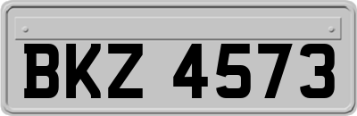 BKZ4573