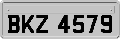 BKZ4579