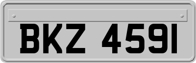BKZ4591