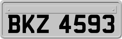 BKZ4593