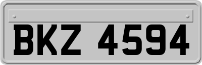 BKZ4594