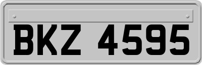 BKZ4595