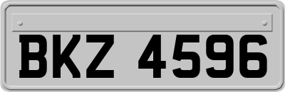 BKZ4596