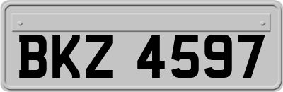 BKZ4597