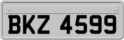 BKZ4599