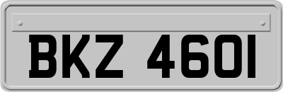 BKZ4601