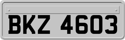 BKZ4603