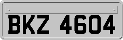 BKZ4604