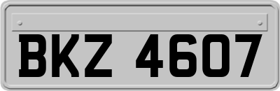 BKZ4607