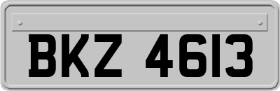 BKZ4613