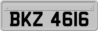 BKZ4616