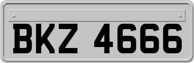 BKZ4666