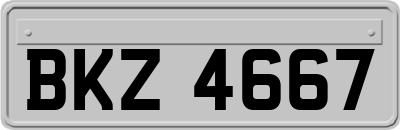 BKZ4667