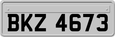 BKZ4673