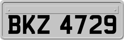 BKZ4729