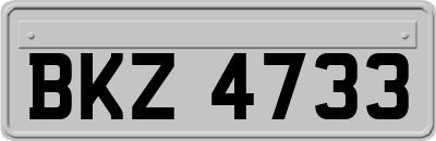 BKZ4733