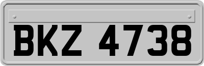 BKZ4738