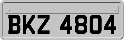 BKZ4804