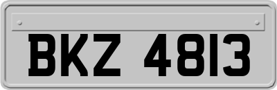 BKZ4813