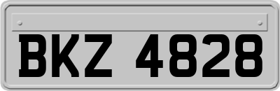 BKZ4828