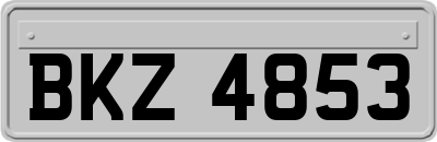 BKZ4853