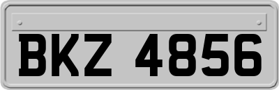 BKZ4856