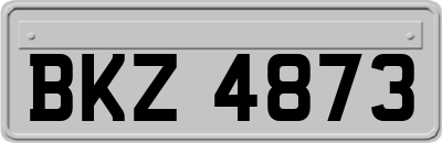 BKZ4873