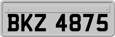 BKZ4875