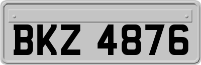 BKZ4876