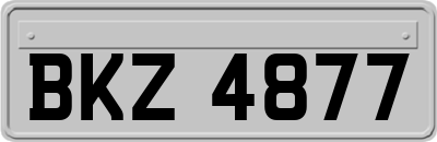 BKZ4877