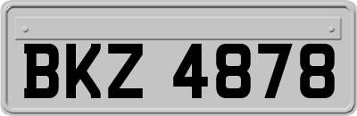 BKZ4878