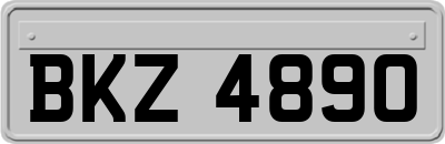 BKZ4890
