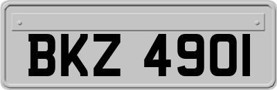 BKZ4901