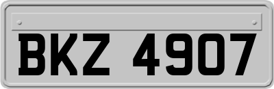 BKZ4907