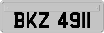 BKZ4911