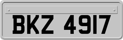 BKZ4917